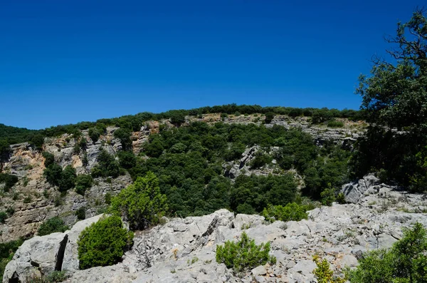 Caminhadas Trilha Trekking Montanha Floresta Espanha — Fotografia de Stock