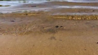 Güneşli bir bahar gününde gölde dalgalar