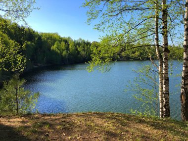 göl güneşli yaz günü huş ağacı
