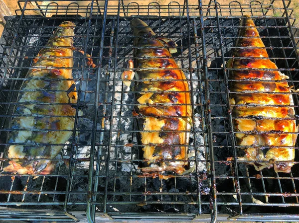 Vis gebakken op het vuur op de rooster — Stockfoto