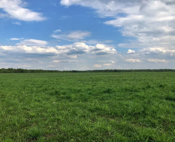 Зеленое поле с облаками в солнечный день — стоковое фото