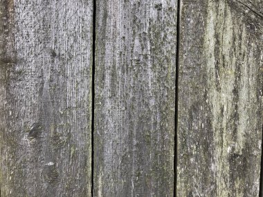 dikey ham sunum tahtasının gri dokusu