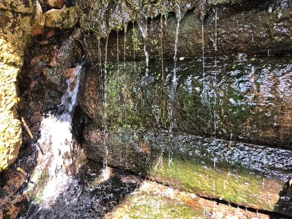 Cascata su una diga con grossi tronchi — Foto Stock