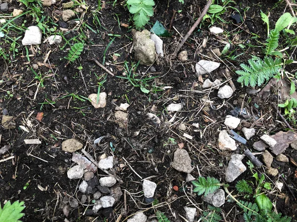 Tekstur tanah gelap dengan batu dan rumput — Stok Foto