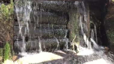 Şelale, ağaçlardan ve kayalardan yapılmış bir baraja çarpıyor.