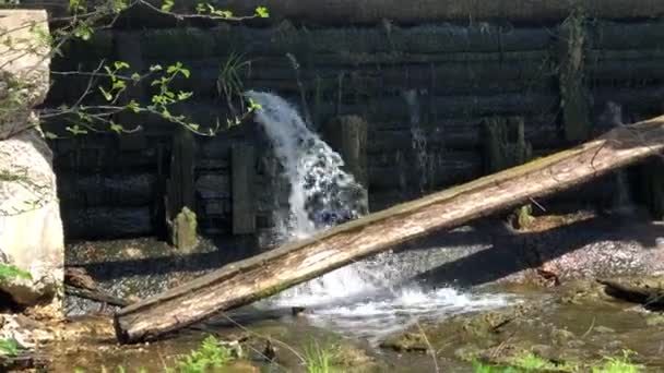 Wasserfall wirft einen Damm aus Wäldern und Felsen — Stockvideo