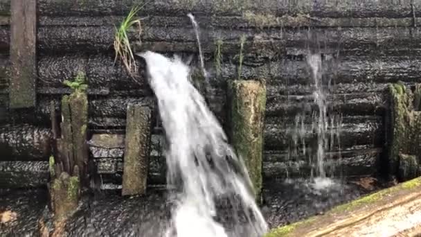 Водоспад горгу гребля з лісів і скель — стокове відео