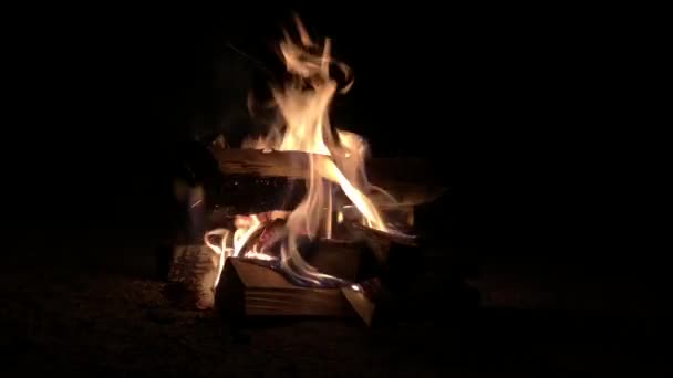 Feu Camp Avec Fumée Isolé Sur Fond Noir — Video