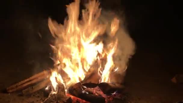 黒い背景に隔離された煙とキャンプ火災 — ストック動画