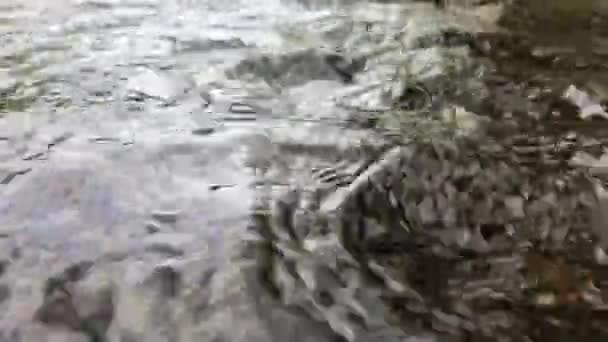 Nehirde Akan Temiz Suyun Kapatılması — Stok video