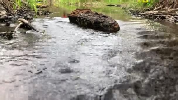 Třpycení Vody Nad Kameny Balvany — Stock video