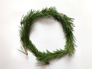 beyaz bir arka plan üzerinde çam yeşil dalları