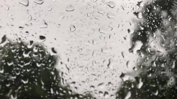 Close up view of water drops falling on glass — Stock Video