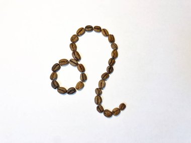 Zodiac Sign kahve fasulyesi Leo. Yalıt