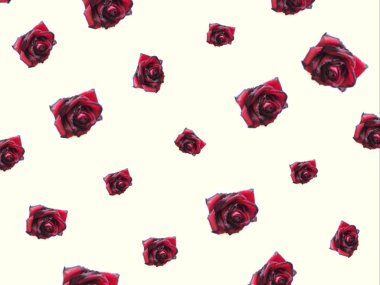 hafif bir arka plan üzerinde kırmızı bir gül deseni