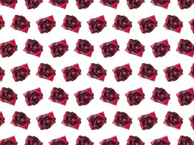 hafif bir arka plan üzerinde kırmızı bir gül deseni