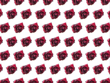 hafif bir arka plan üzerinde kırmızı bir gül deseni
