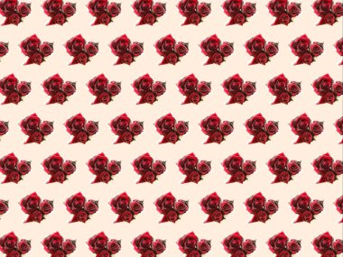 hafif bir arka plan üzerinde kırmızı bir gül deseni