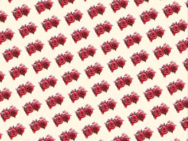 hafif bir arka plan üzerinde kırmızı bir gül deseni