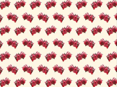 hafif bir arka plan üzerinde kırmızı bir gül deseni