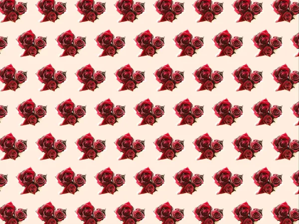 hafif bir arka plan üzerinde kırmızı bir gül deseni