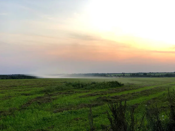 Sunset field fog landscape. Sunset fog field view. Sunset sky field fog scene.