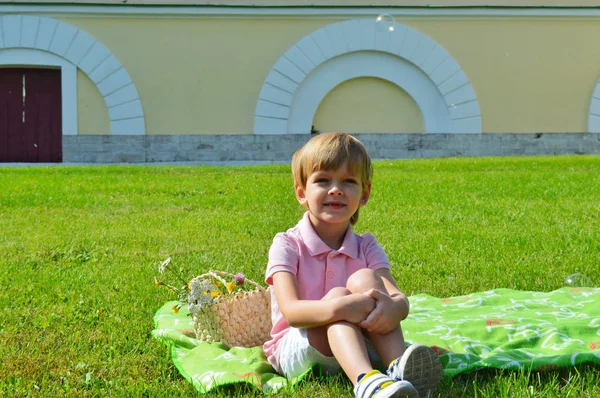 Băiețelul care stă pe iarbă în parcul de vară . — Fotografie, imagine de stoc