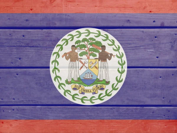 Belize Flagga Målad Trä Planka Bakgrund Borstad Naturlig Ljus Knuten — Stockfoto