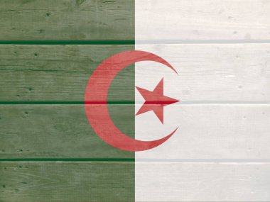 Tahta zemin üzerine Cezayir bayrağı boyanmış. Fırçalanmış doğal ışık düğümlü ahşap tahta doku. Cezayir 'in ahşap desenli arka plan bayrağı