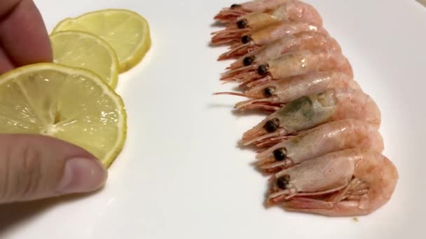 Shrimp and sliced lemon on white plate. Takes slice of lemon and spreads shrimps — Stock Video