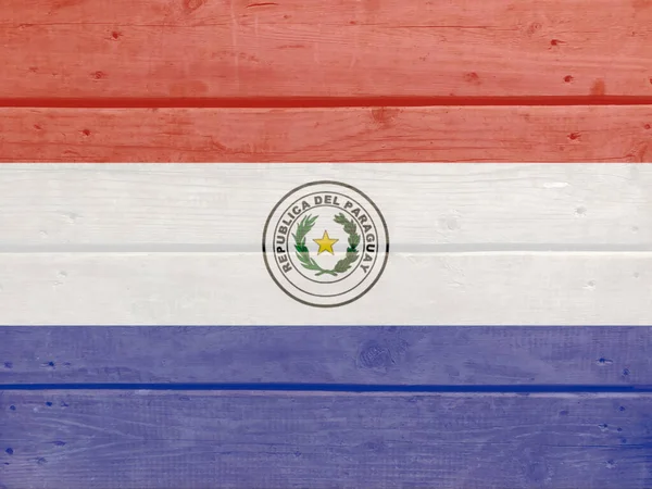 Paraguay Flag Painted Wood Plank Background Brushed Natural Light Knotted — Stock Photo, Image