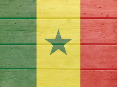 Tahta arka planda Senegal bayrağı var. Fırçalanmış doğal ışık düğümlü ahşap tahta doku. Senegal 'in ahşap arkaplan bayrağı