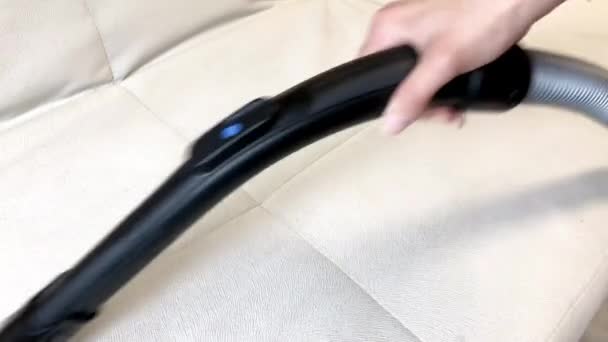 Adult woman cleaning sofa in living space indoor with vacuum cleaner — Stock Video