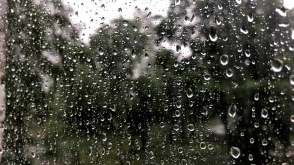 Gotas de chuva através do vidro. Tempestade, furacão e vento forte através do vidro — Vídeo de Stock