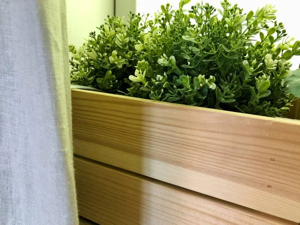 Planta Artificial Verde Con Hojas Pequeñas Una Maceta Madera Alféizar — Foto de Stock