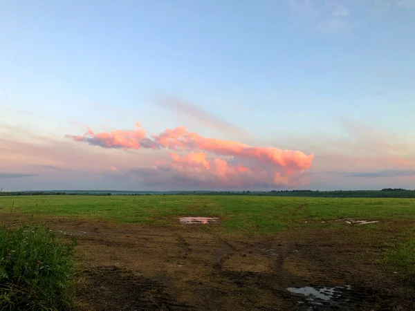 Прекрасное Розовое Облако Над Полем Летний Закат — стоковое фото