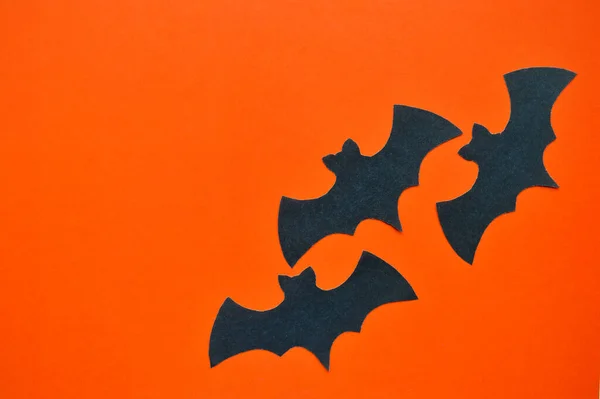 박쥐는 주황색 바탕에 — 스톡 사진