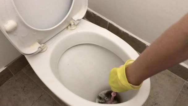 Hand in a rubber yellow glove washes the toilet with a brush. — Stock Video