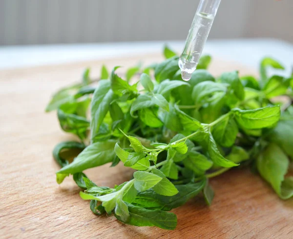 Bündel frischer Minze und Öl in Pipette auf Holzgrund. — Stockfoto