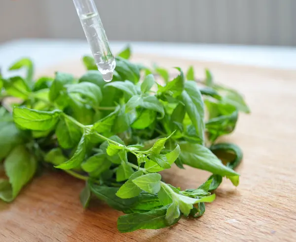 Bündel frischer Minze und Öl in Pipette auf Holzgrund. — Stockfoto