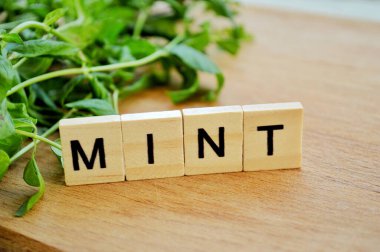 Ahşap arka planda bir sürü taze nane. Tahta bloklar ve harflerle süslü kelime.