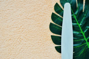 Bej kumaşın arka planında bir palmiye yaprağının üzerinde duran çivi dosyası.