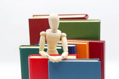 Bir kitapçı ya da kütüphane. Sözlük, ansiklopedi kütüphanesi ya da web arşivi. Bir kitap sever, bir kütüphaneci, bir kitapçı tezgâhtarı, koca kitap yığınları arasında tahta bir manken bebeği..