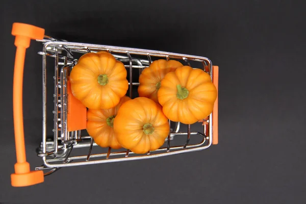 Composition Tiny Pumpkins Supermarket Cart Black Background Concept Selling Fall — Stock Photo, Image