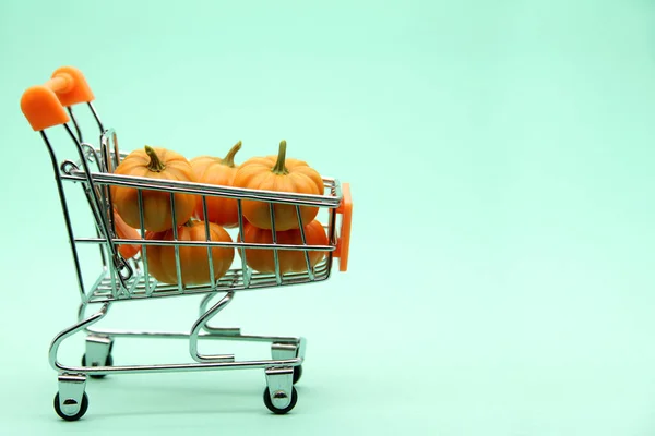Composition Tiny Pumpkins Supermarket Cart Soft Green Background Concept Selling — Stock Photo, Image