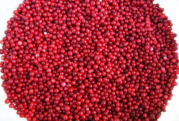 Hintergrund Sind Viele Rote Preiselbeeren Sehen Foto Hintergrundkonzept Mit Beeren — Stockfoto