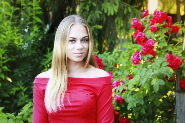 赤いバラと緑の間で庭で赤いドレスを着た青い目を持つ美しい少女の肖像画 — ストック写真