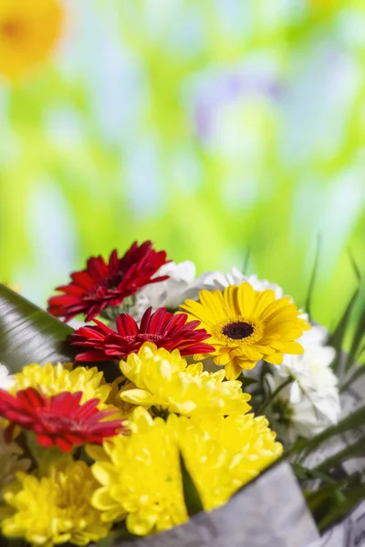 Lindo Brilhante Buquê Vermelho Branco Amarelo Flores Primavera Close Fundo — Fotografia de Stock