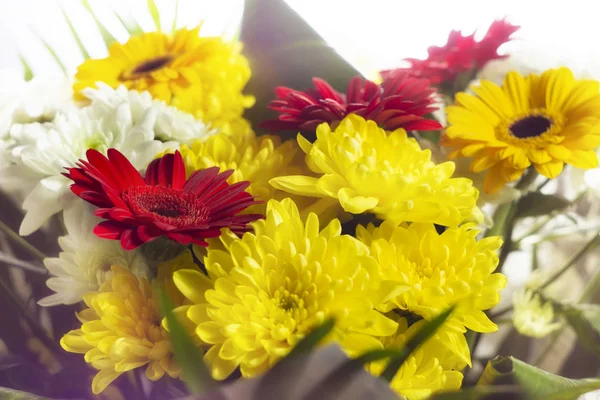 Lindo Brilhante Buquê Vermelho Branco Amarelo Flores Primavera Close Fundo — Fotografia de Stock