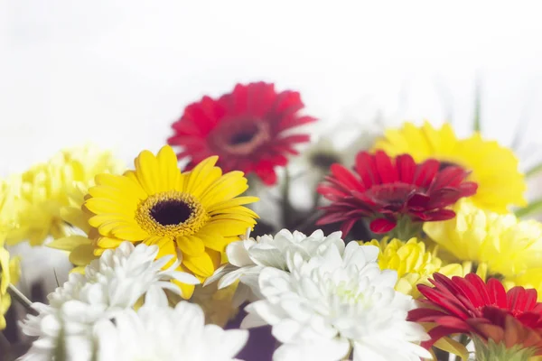 Beautiful Bright Bouquet Red White Yellow Spring Flowers Close White — Stock Photo, Image